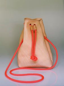 The Ambrose Bag